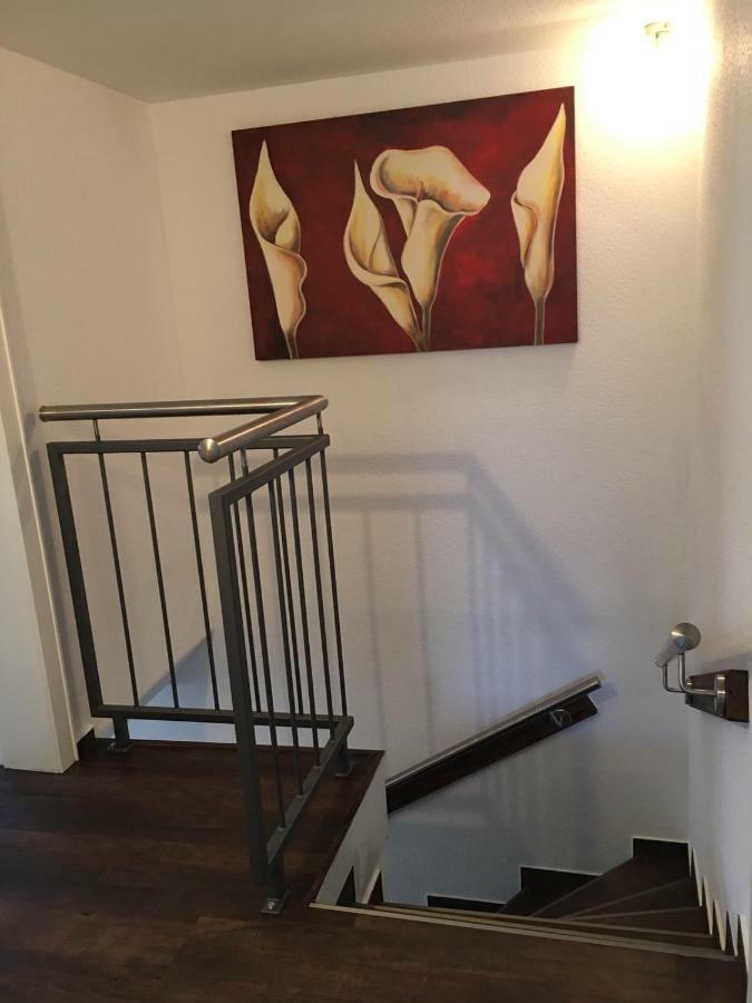 Zum Rosenhuegel Villa Hellenthal Kültér fotó